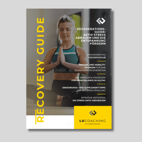 Recovery Guide (PDF)