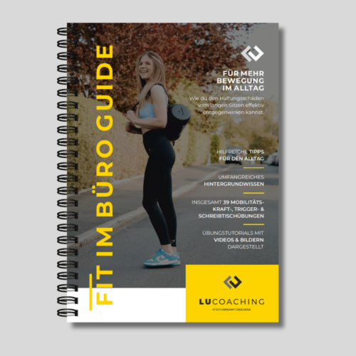 Fit im Büro Guide (PRINT)