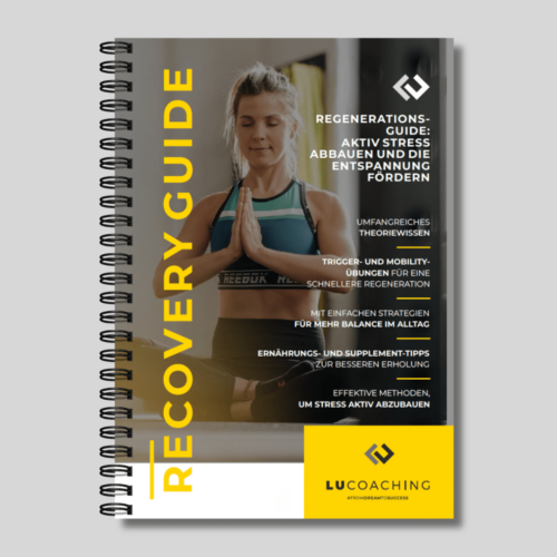 Recovery Guide (PRINT)