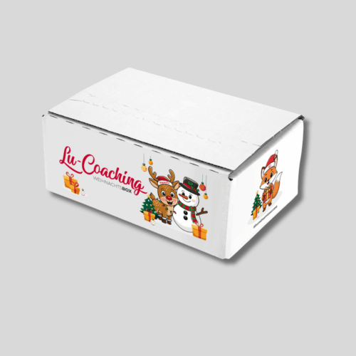 Lu-Coaching Weihnachtsbox